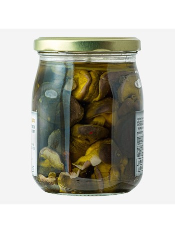 Funghi Cardoncelli in Olio Extravergine di Oliva  500g